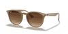 [Brown Gradient Lenses, Polished Beige Frame]