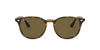 [B-15 Brown Lenses, Polished Light Havana Frame]