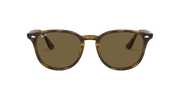 B-15 Brown Lenses, Polished Light Havana Frame