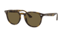 [B-15 Brown Lenses, Polished Light Havana Frame]