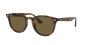 B-15 Brown Lenses, Polished Light Havana Frame