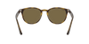 [B-15 Brown Lenses, Polished Light Havana Frame]