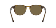 B-15 Brown Lenses, Polished Light Havana Frame