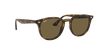 [B-15 Brown Lenses, Polished Light Havana Frame]