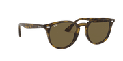 B-15 Brown Lenses, Polished Light Havana Frame