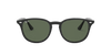 [Green Lenses, Polished Black Frame]