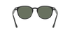 [Green Lenses, Polished Black Frame]