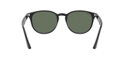 Green Lenses, Polished Black Frame