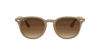 [Brown Gradient Dark Brown Lenses, Polished Beige Frame]