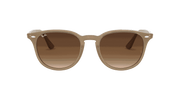 Brown Gradient Dark Brown Lenses, Polished Beige Frame