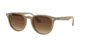 Brown Gradient Dark Brown Lenses, Polished Beige Frame