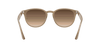 [Brown Gradient Dark Brown Lenses, Polished Beige Frame]