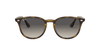 [Grey Gradient Lenses, Polished Light Havana Frame]