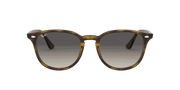 Grey Gradient Lenses, Polished Light Havana Frame