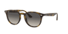 [Grey Gradient Lenses, Polished Light Havana Frame]