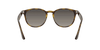 [Grey Gradient Lenses, Polished Light Havana Frame]