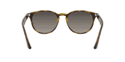 Grey Gradient Lenses, Polished Light Havana Frame