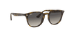 [Grey Gradient Lenses, Polished Light Havana Frame]