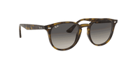 Grey Gradient Lenses, Polished Light Havana Frame