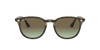 [Brown Gradient Lenses, Polished Grey Havana Frame]