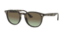 [Brown Gradient Lenses, Polished Grey Havana Frame]