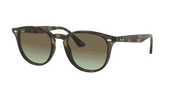 Brown Gradient Lenses, Polished Grey Havana Frame