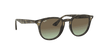 [Brown Gradient Lenses, Polished Grey Havana Frame]