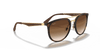 [Brown Gradient Lenses, Polished Light Havana Frame]