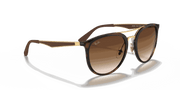 Brown Gradient Lenses, Polished Light Havana Frame