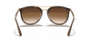 [Brown Gradient Lenses, Polished Light Havana Frame]