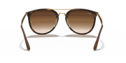 Brown Gradient Lenses, Polished Light Havana Frame