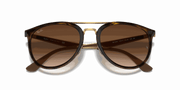 Brown Gradient Lenses, Polished Light Havana Frame