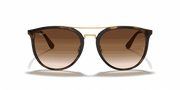 Brown Gradient Lenses, Polished Light Havana Frame