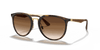 [Brown Gradient Lenses, Polished Light Havana Frame]