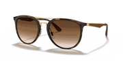 Brown Gradient Lenses, Polished Light Havana Frame