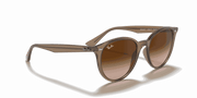 Brown Gradient Lenses, Polished Beige Frame