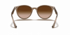 [Brown Gradient Lenses, Polished Beige Frame]