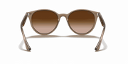 Brown Gradient Lenses, Polished Beige Frame