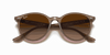 [Brown Gradient Lenses, Polished Beige Frame]