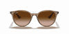 [Brown Gradient Lenses, Polished Beige Frame]