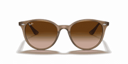 Brown Gradient Lenses, Polished Beige Frame