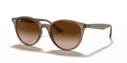 Brown Gradient Lenses, Polished Beige Frame