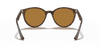 [B-15 Brown Lenses, Polished Light Havana Frame]