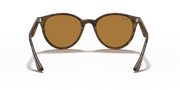 B-15 Brown Lenses, Polished Light Havana Frame