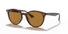 [B-15 Brown Lenses, Polished Light Havana Frame]