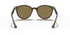 [Dark Brown Lenses, Polished Light Havana Frame]