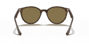 Dark Brown Lenses, Polished Light Havana Frame