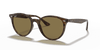 [Dark Brown Lenses, Polished Light Havana Frame]