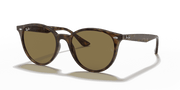 Dark Brown Lenses, Polished Light Havana Frame