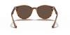 [Dark Brown Lenses, Polished Striped Red Havana Frame]